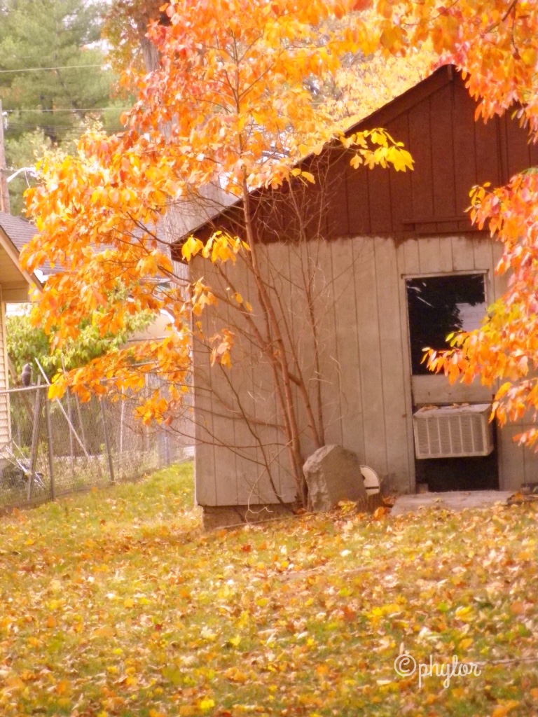 AUTUMNAL FALL