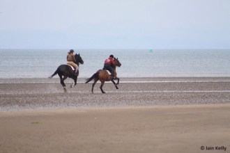 photo-20161226154623024