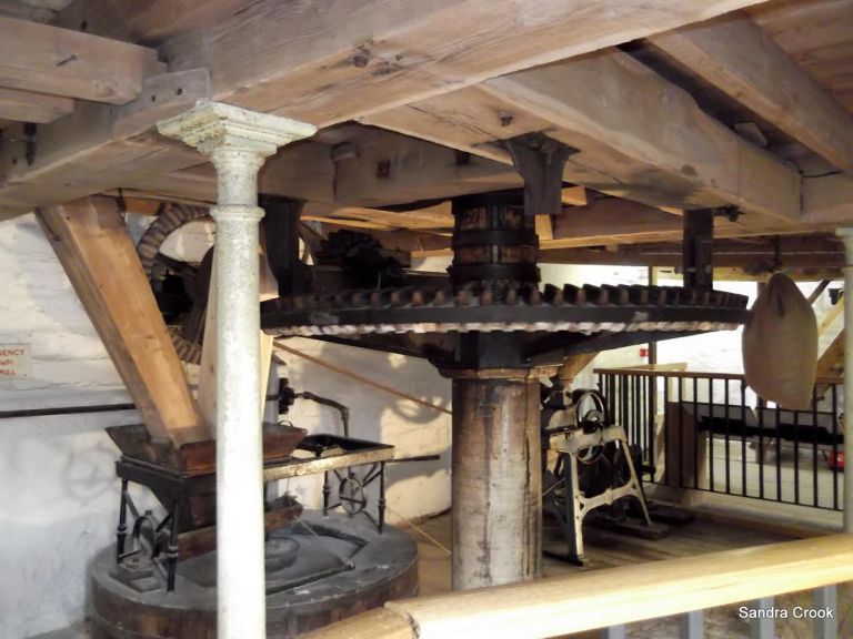 A COG IN THE MACHINE