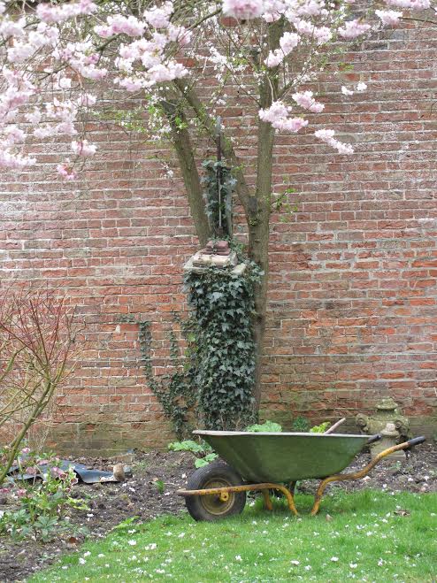 SPRING BLOSSOM
