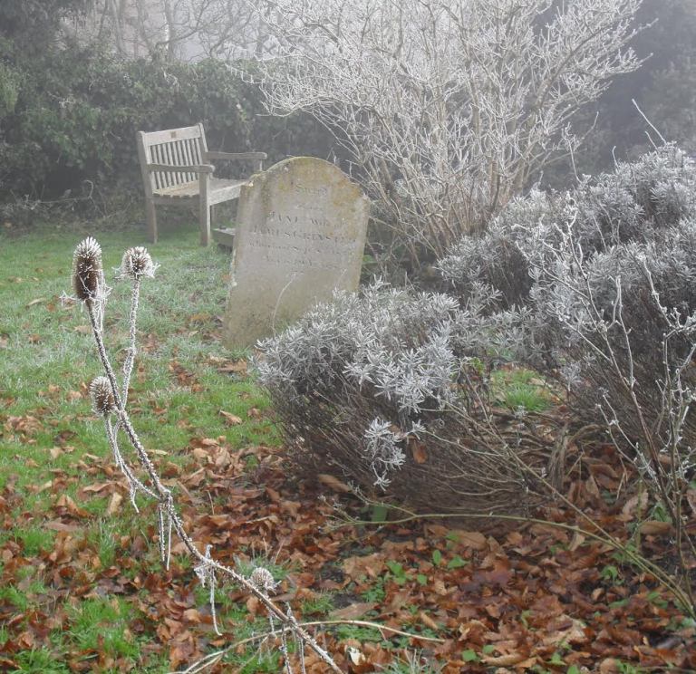 THE GRAVEYARD AT THE END OF MY STREET