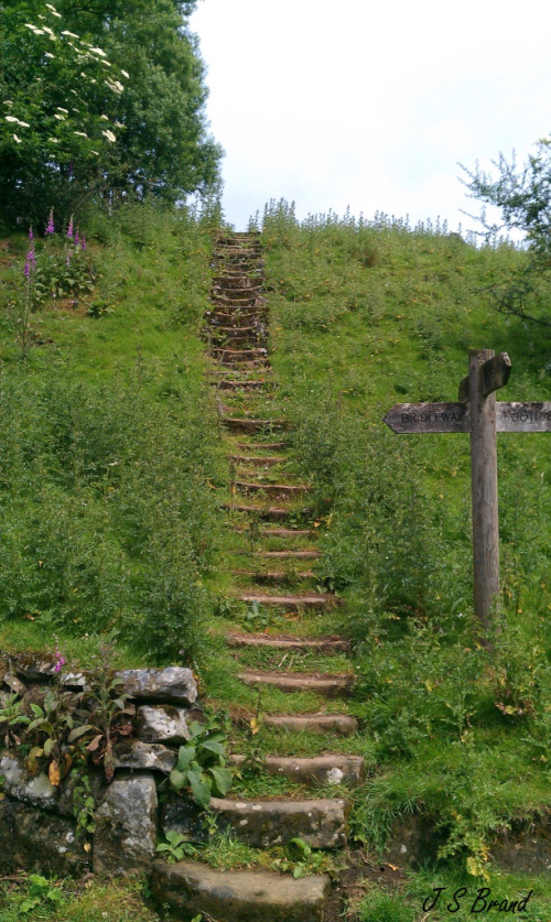 THE PLOUGHMAN AND THE&nbsp;NAZI