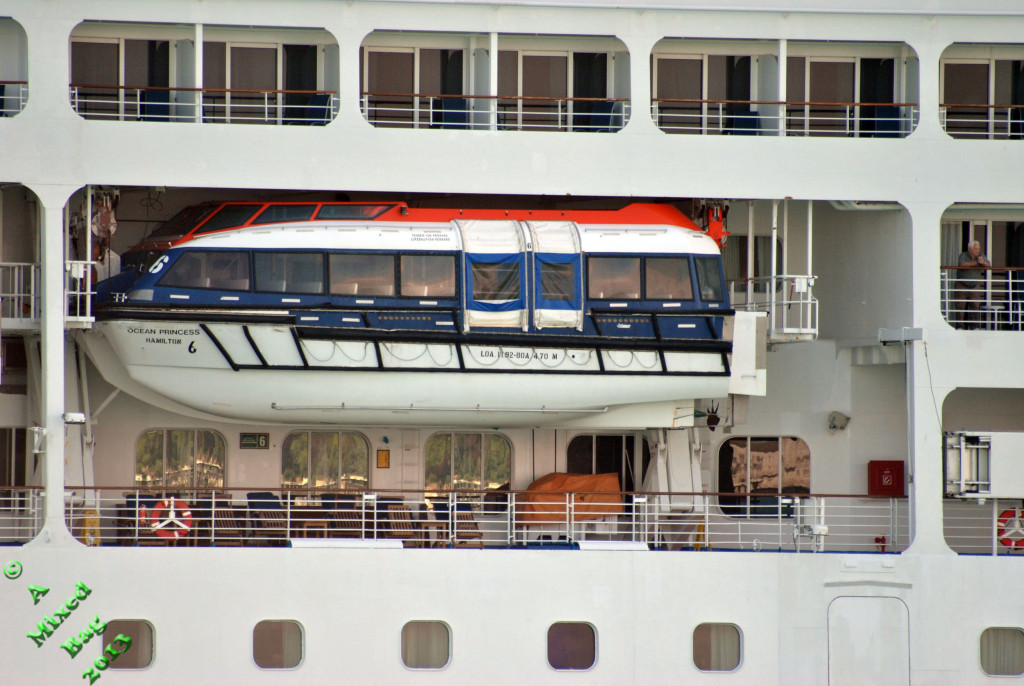 SNAKE ON A SHIP