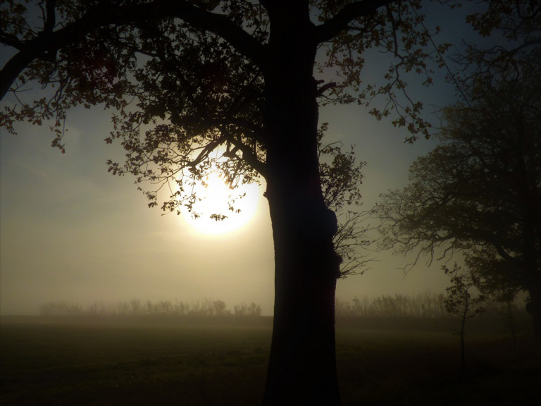 CLEARING MIST