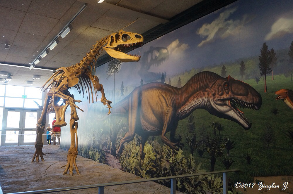 THE OLD DINOSAUR