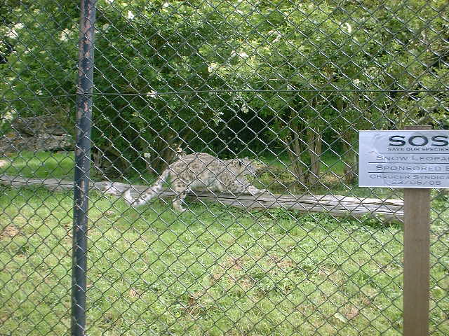 223-01-january-14th-2018