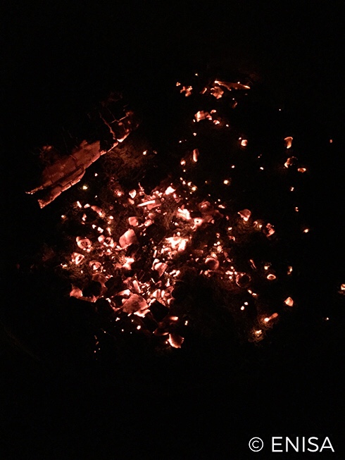 EMBERS