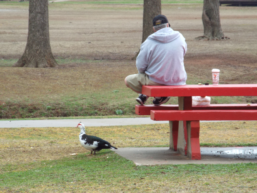 A PEACEFUL MOMENT