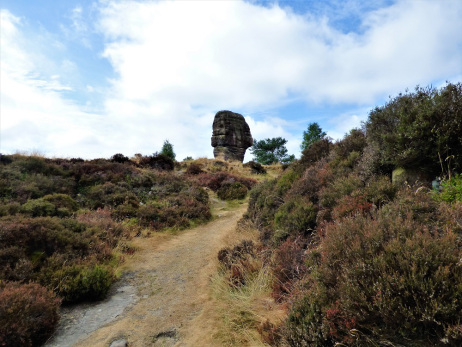 AN ACT OF&nbsp;MERCY