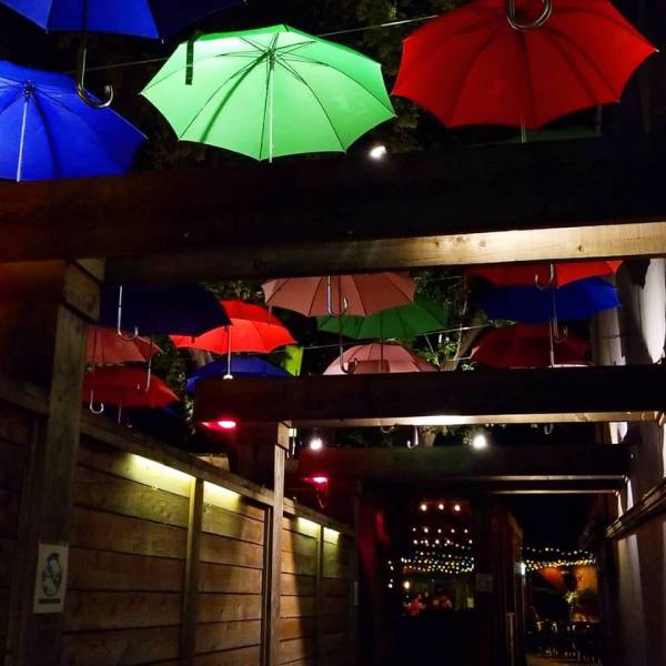 THE UMBRELLAS OF NEW YORK
