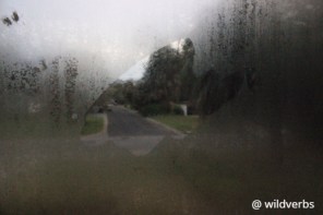 photo-20180910153513058