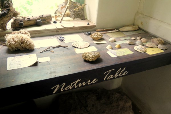SHE SELLS SEA SHELLS