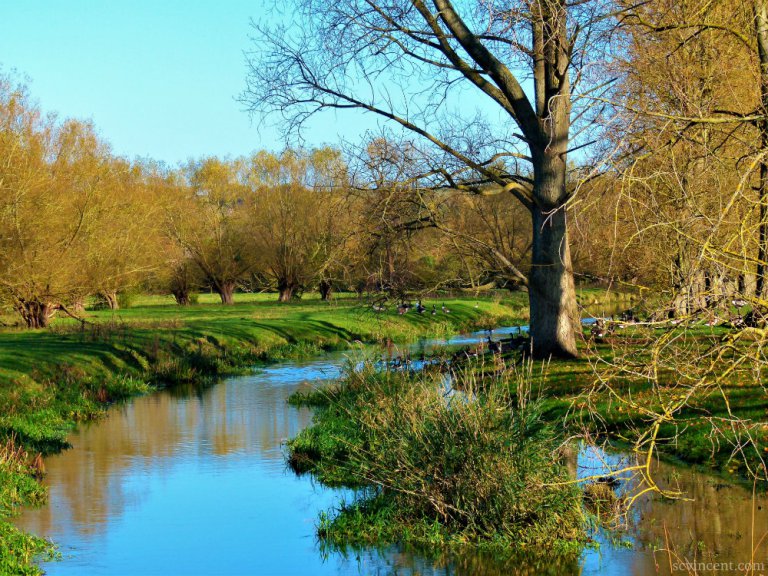 A SENSE OF&nbsp;CALM