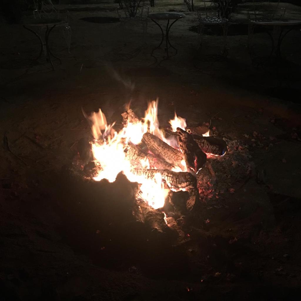 FLAMES OF DESIRE