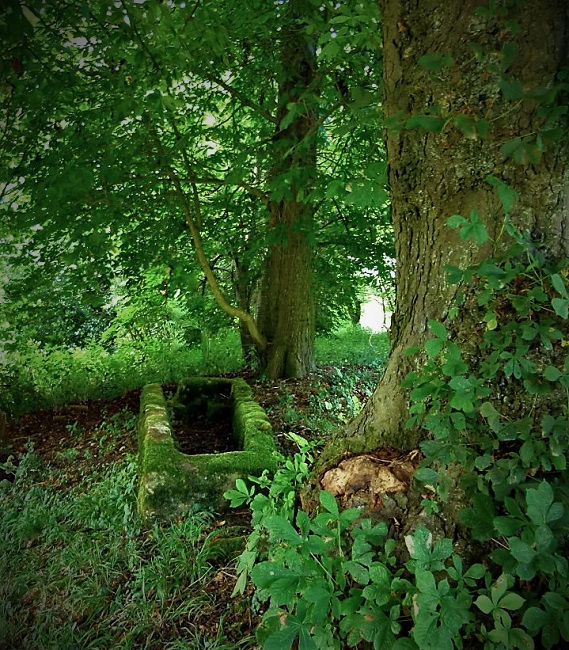 LAY ME DOWN HERE IN THE SHADE IN THIS SMALL HOLLOW IN THE&nbsp;GROUND