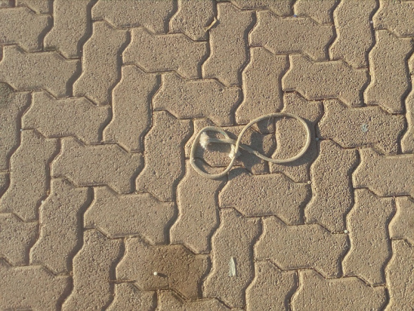 AESTHETICALLY PLEASING