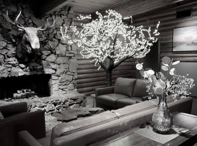 THE MOOSE’S REVENGE