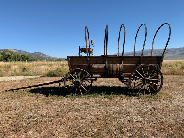 THE LAND OF THE&nbsp;FREE